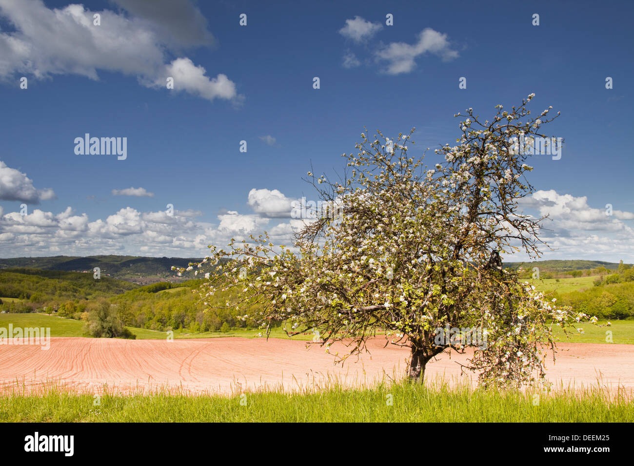 La Dordogne campagna in primavera, Dordogne, Francia, Europa Foto Stock