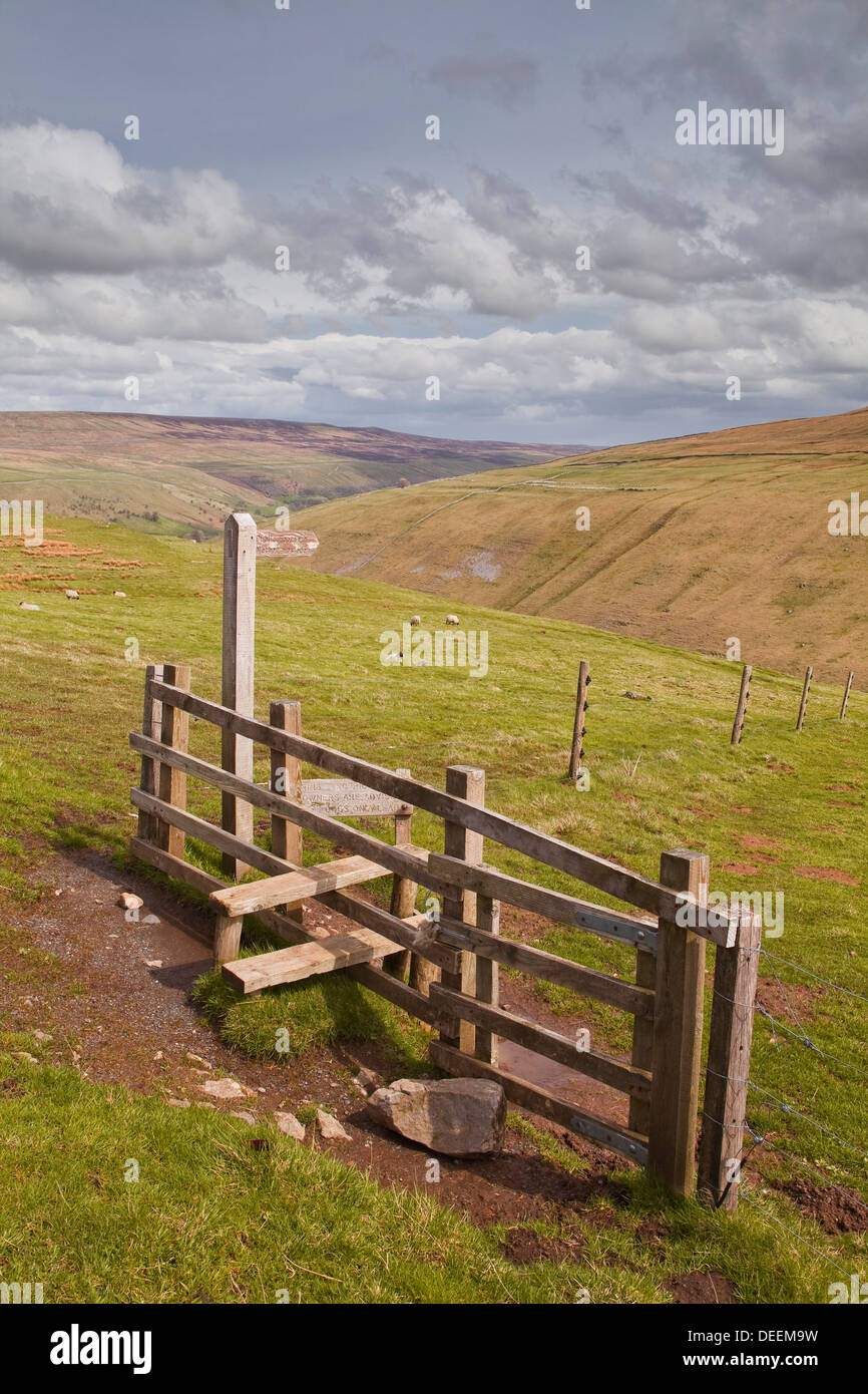 Un fingerpost rivolta verso Littondale nel Yorkshire Dales, nello Yorkshire, Inghilterra, Regno Unito, Europa Foto Stock