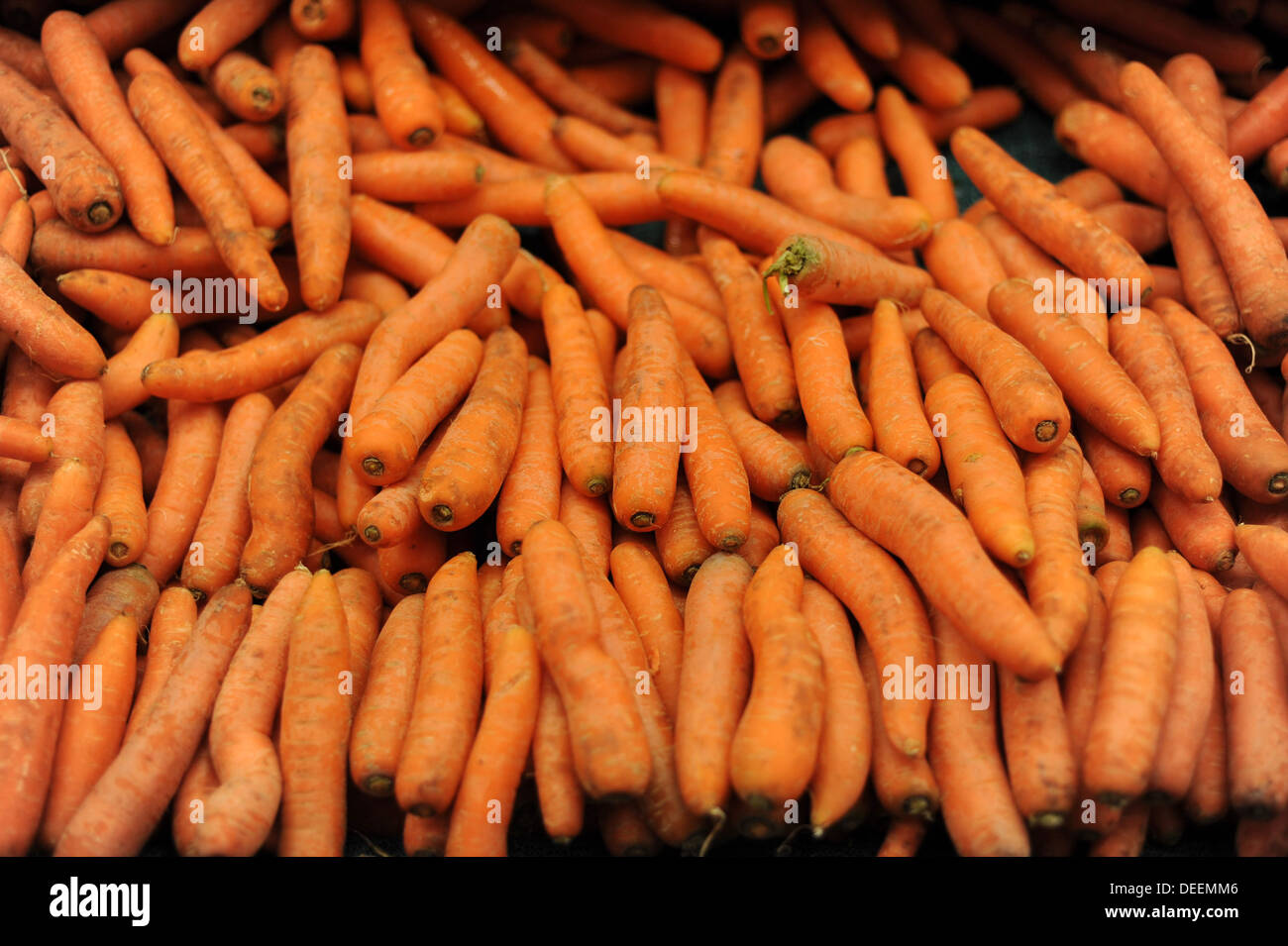 Un mucchio di carote visto in Messico. Foto Stock