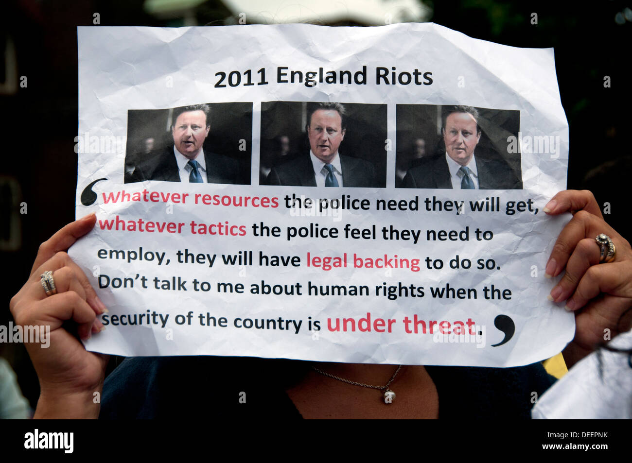 Egiziano Pro-Army Pro-Government manifestanti a Londra Agosto 2013 Foto Stock