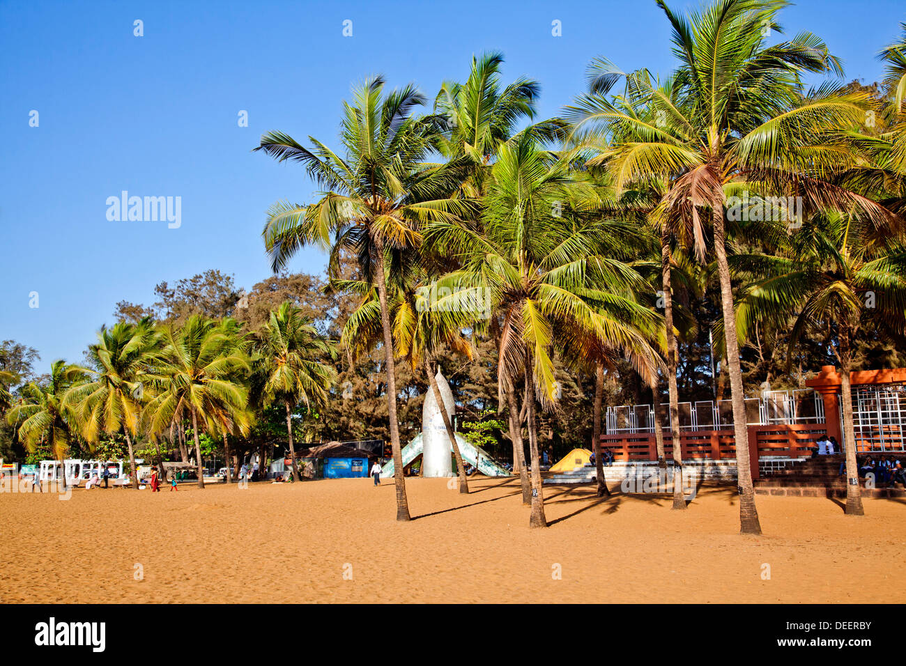 Le palme sulla spiaggia Miramar Beach, Panaji, Goa nord, Goa, India Foto Stock