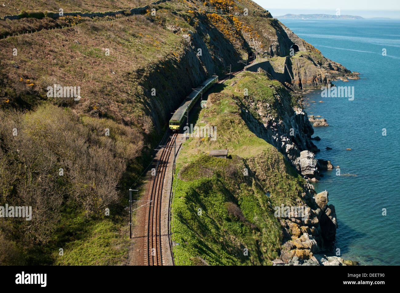 Il Cliff Walk è un cammino lineare tra Bray e Greystones, seguendo la linea ferroviaria lungo le scogliere di Bray testa. Foto Stock