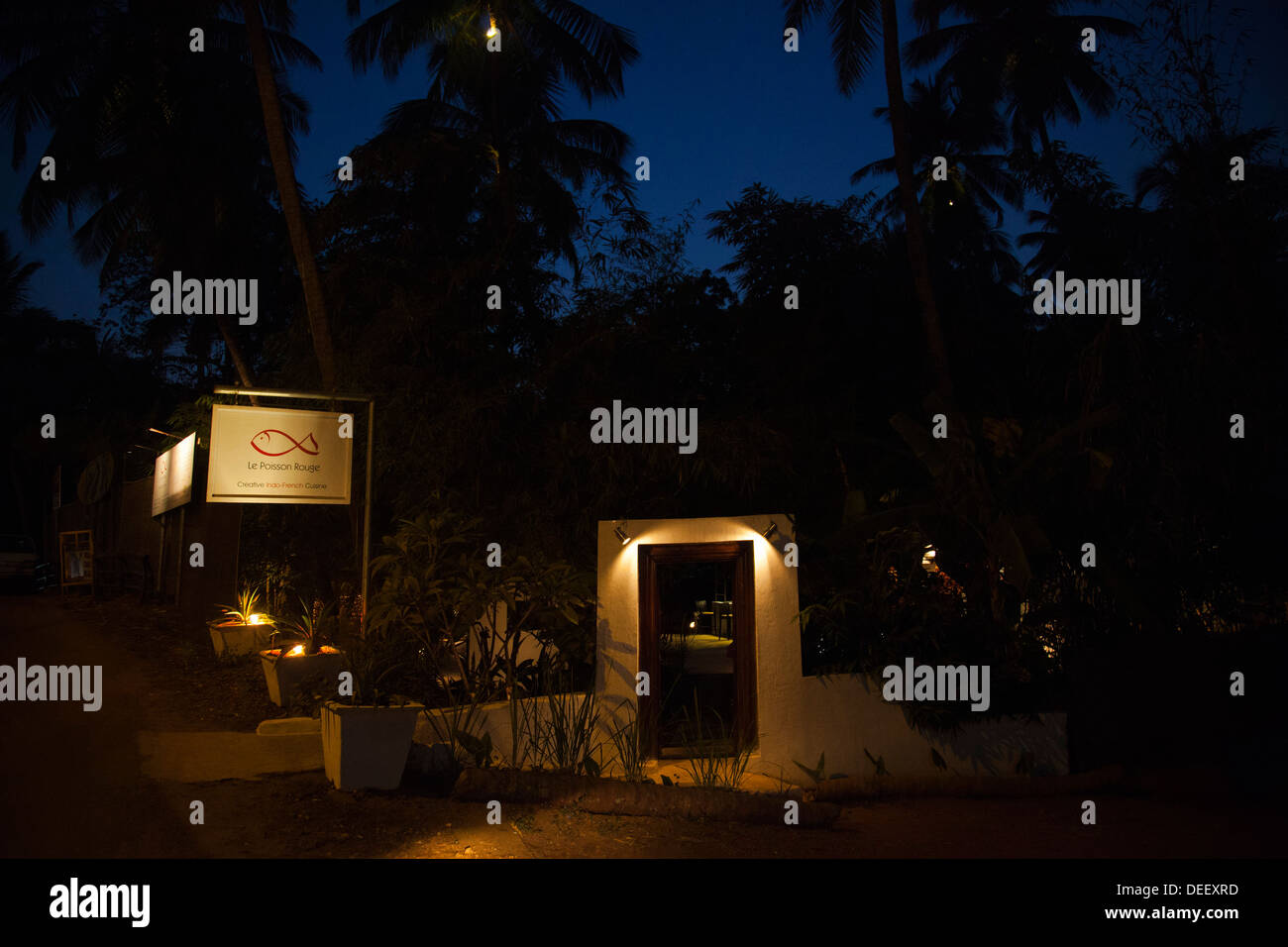 Alberi in un giardino di un cafe, Om realizzato Cafe, Pequene Paddem, Anjuna, Bardez, Goa nord, Goa, India Foto Stock