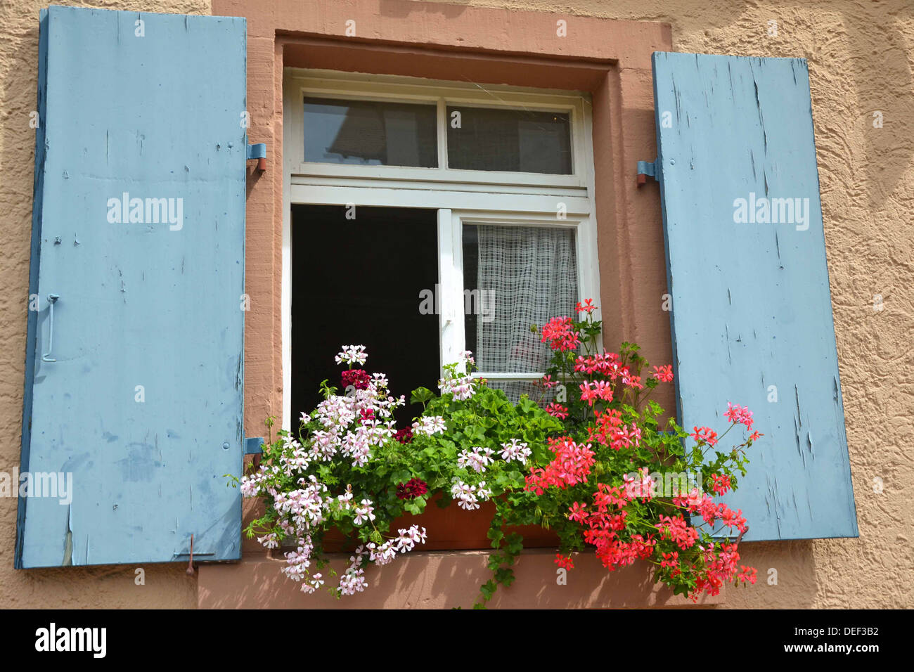 Finestra con persiane blu e fiori Foto Stock
