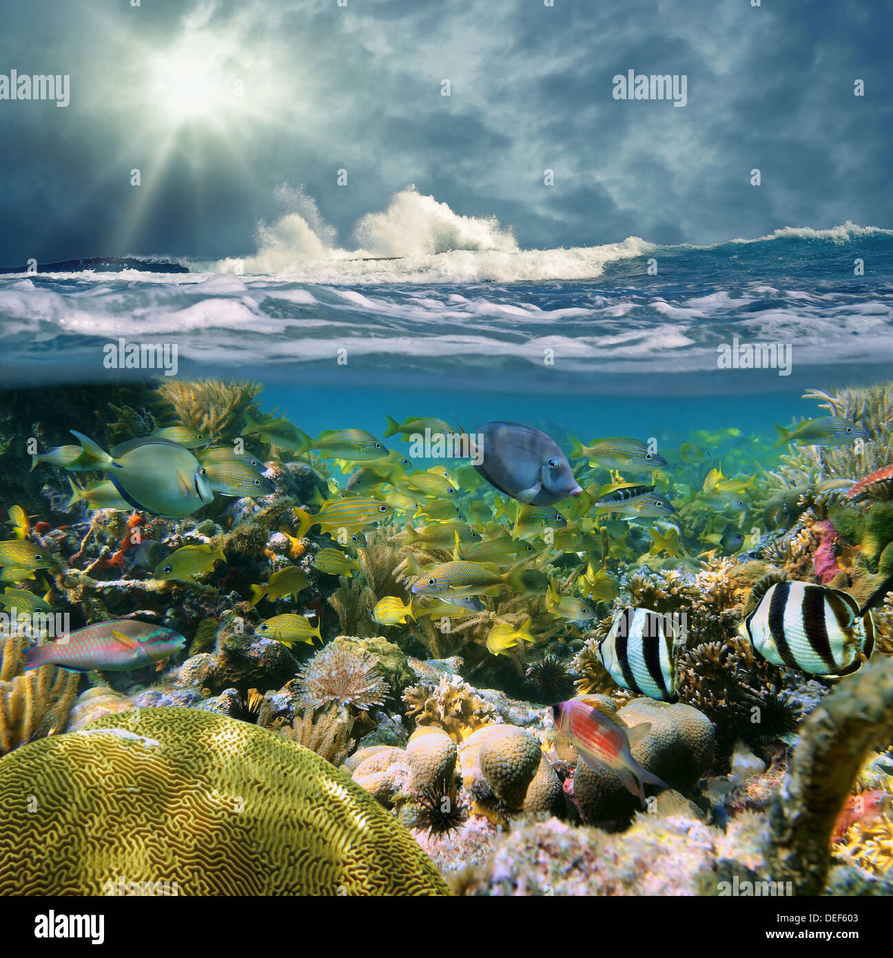 Over-sotto la vista suddivisa con onde si infrangono su una scogliera e bellissimi coralli con scuola di pesce Foto Stock
