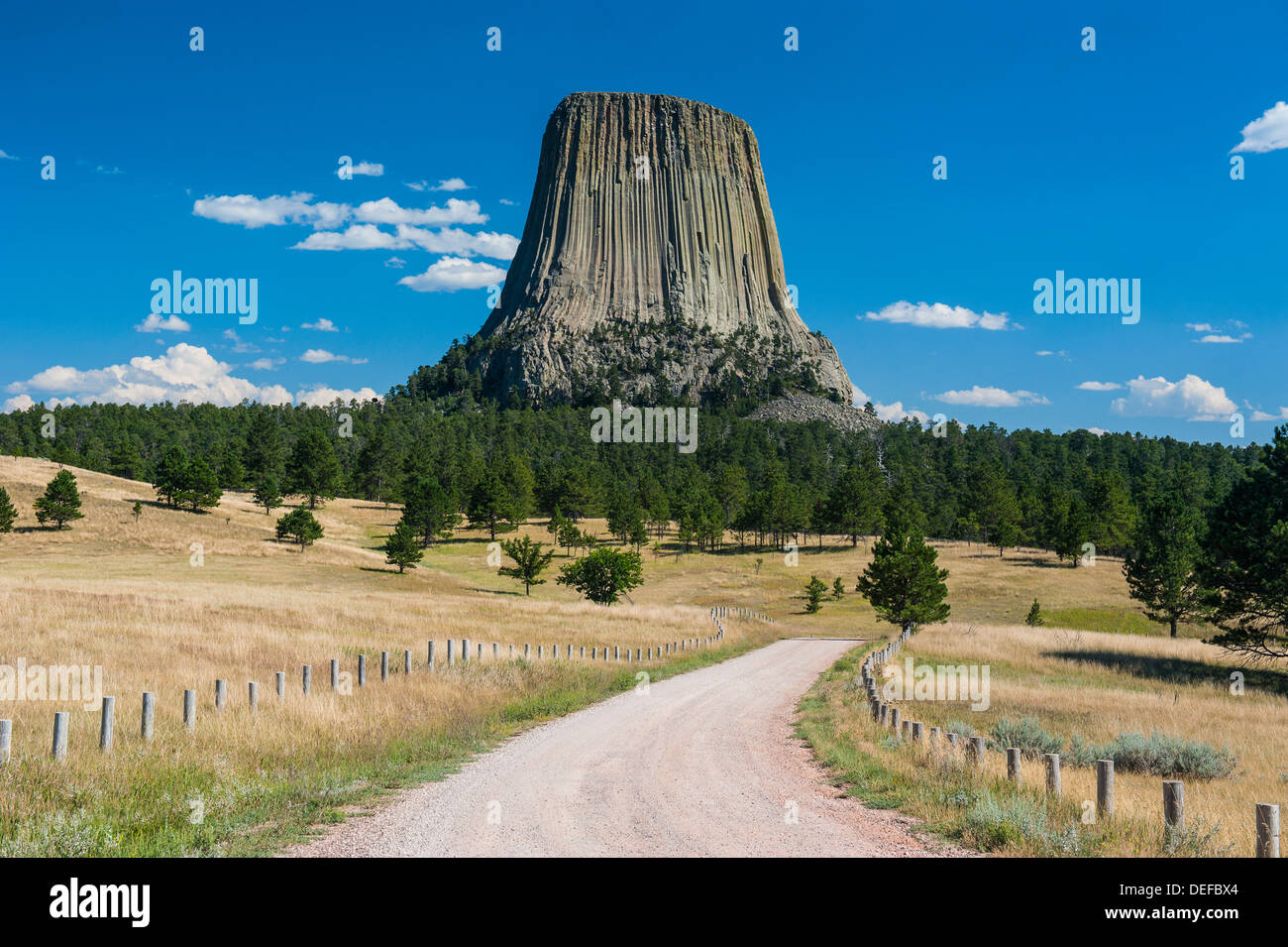 Devils Tower National Monument, Wyoming negli Stati Uniti d'America, America del Nord Foto Stock