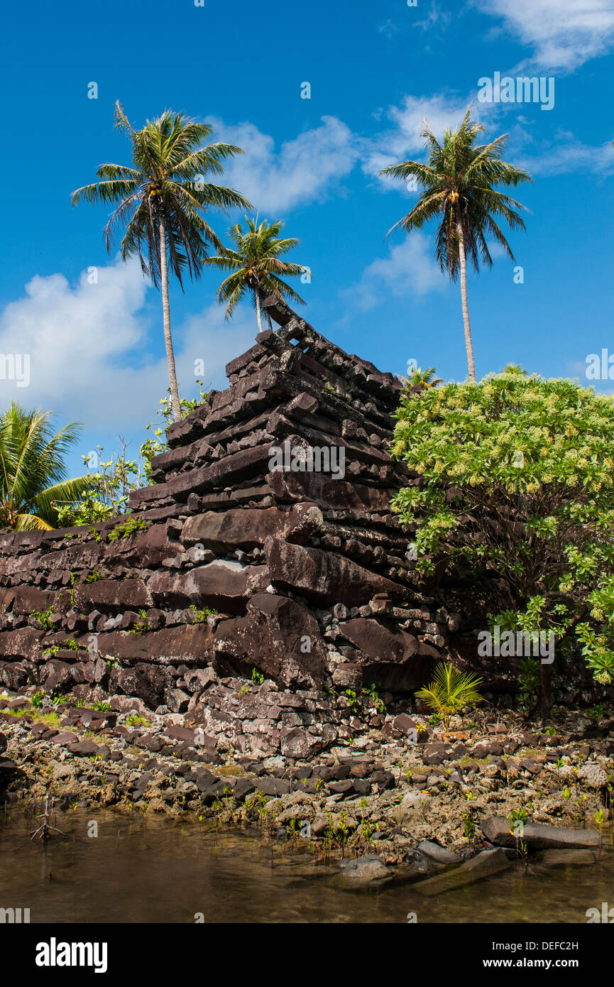 Rovina della città di Nan Madol, Pohnpei (Ponape), Stati Federati di Micronesia, Isole Caroline, Pacifico centrale e del Pacifico Foto Stock