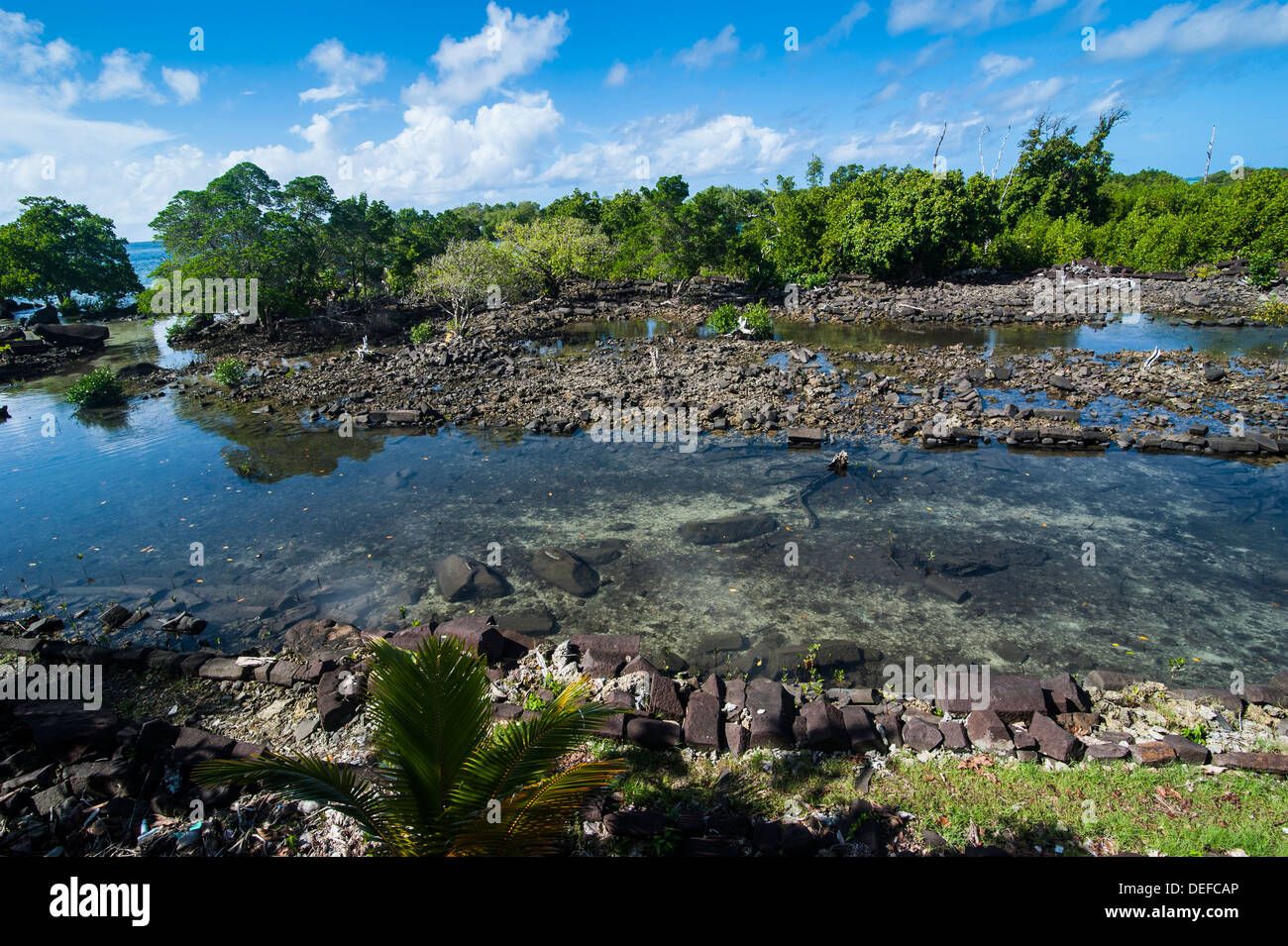 Rovina della città di Nan Madol, Pohnpei (Ponape), Stati Federati di Micronesia, Isole Caroline, Pacifico centrale e del Pacifico Foto Stock