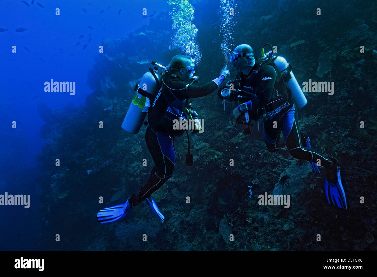 Due subacquei praticare la lingua dei segni, Raja Ampat, Papua occidentale, in Indonesia Foto Stock