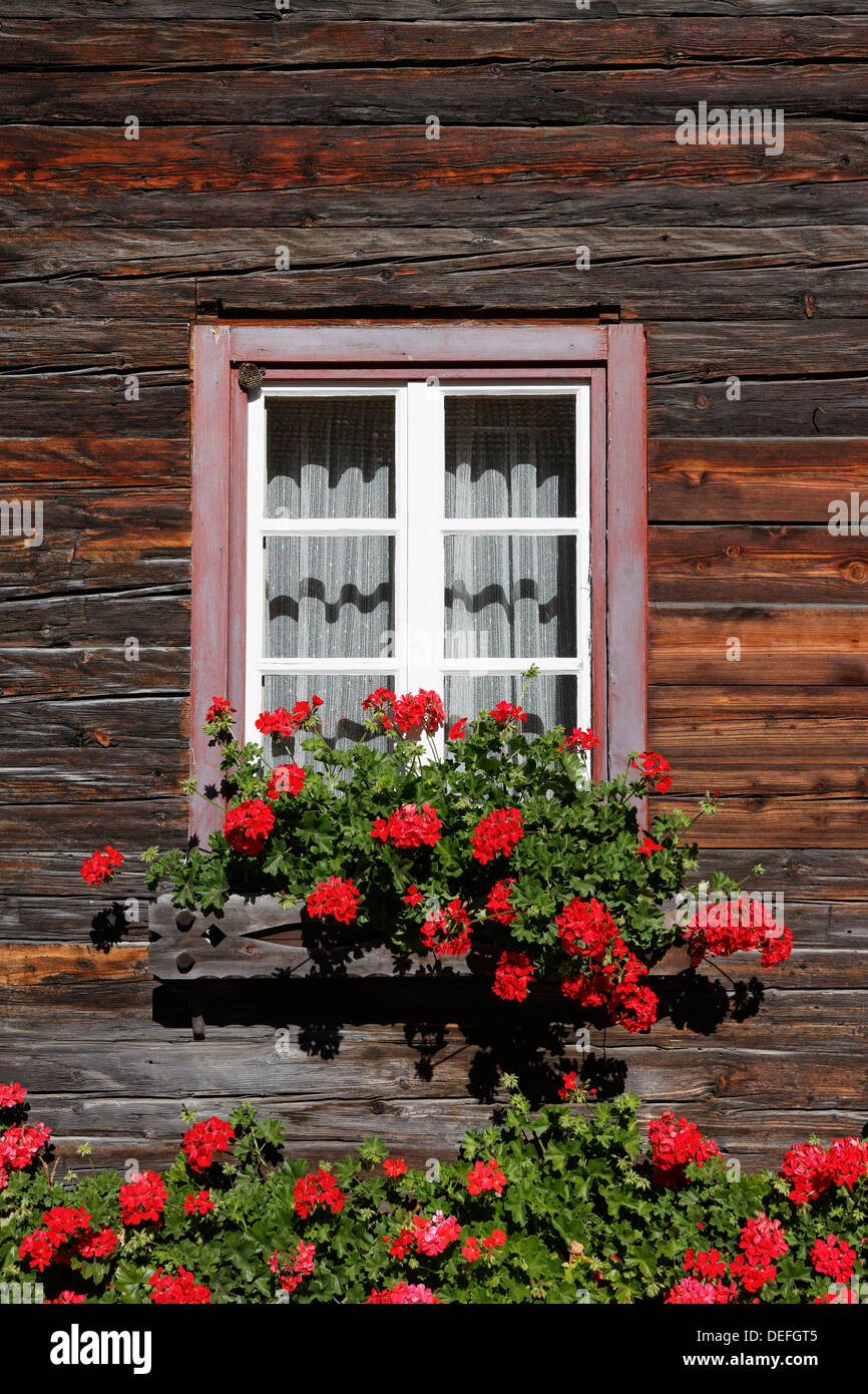 Finestra con gerani su una vecchia casa in legno, Klebas, Lesachtal, Hermagor District, Carinzia, Austria Foto Stock
