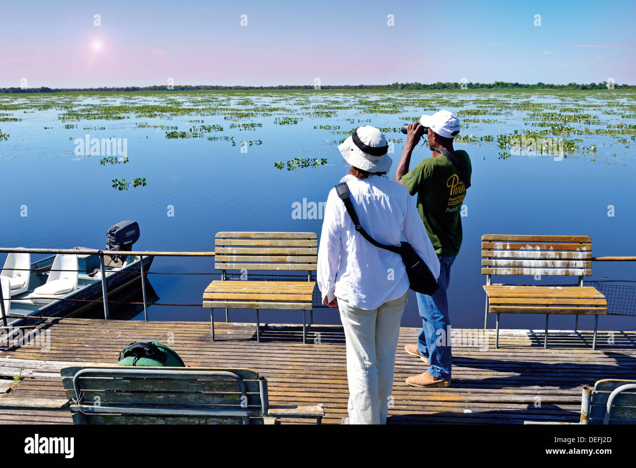 Il Brasile, Pantanal: Bird watching con Benedito presso il river Bento Gomes Foto Stock