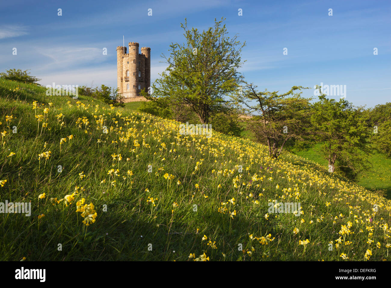 Torre di Broadway con cowslips, Broadway, Worcestershire, England, Regno Unito, Europa Foto Stock