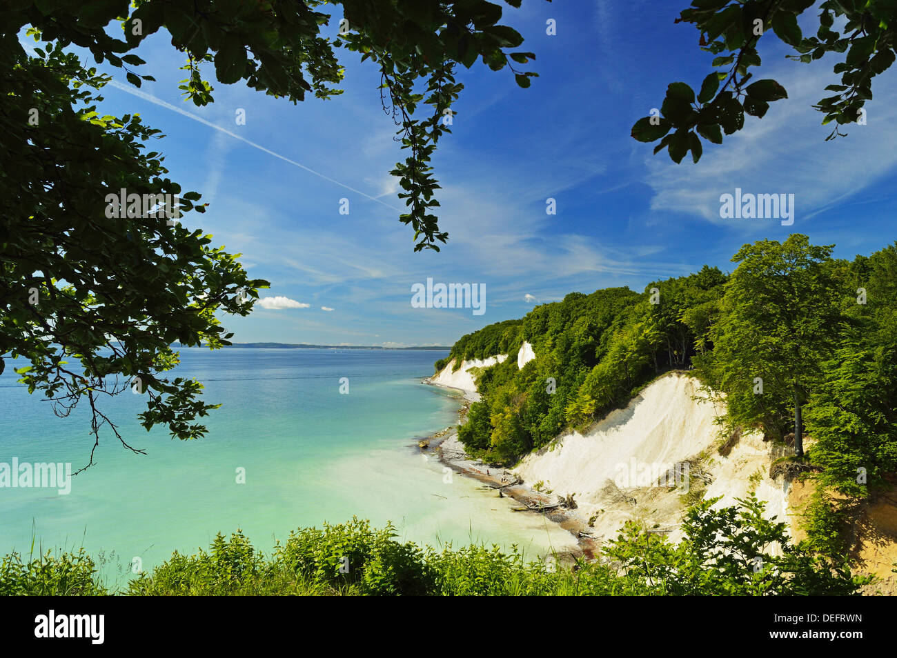 Chalk cliffs, Jasmund National Park, Ruegen Isola, Meclenburgo-Pomerania Occidentale, Germania, Europa Foto Stock