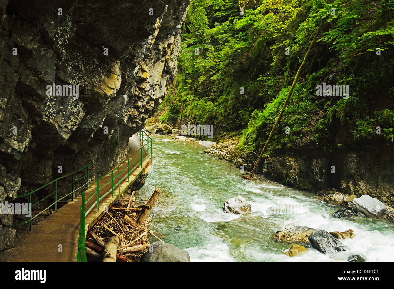 Breitachklamm Gorge, Allgau, Baviera, Germania, Europa Foto Stock