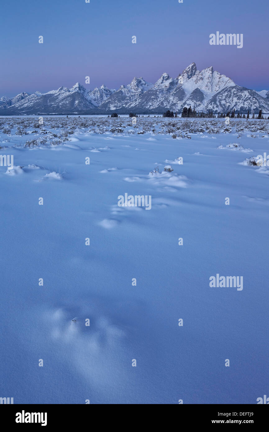 La gamma Teton all'alba dopo una neve fresca, il Parco Nazionale del Grand Teton, Wyoming negli Stati Uniti d'America, America del Nord Foto Stock