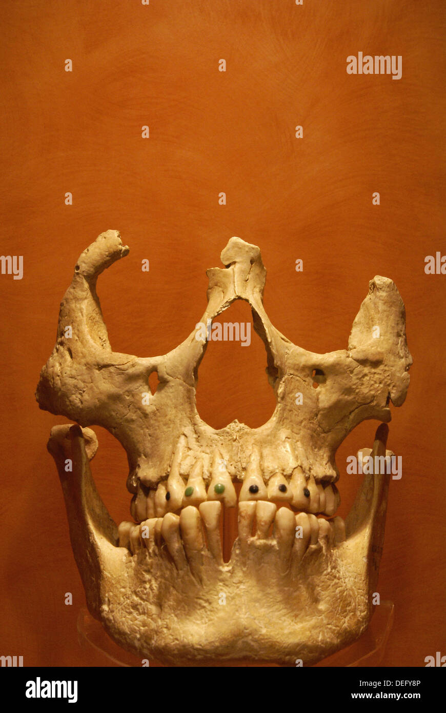 Cranio da piramide di fiori, Cacaxtla. Museo Nazionale di Antropologia,  Mexico D.F. Messico Foto stock - Alamy