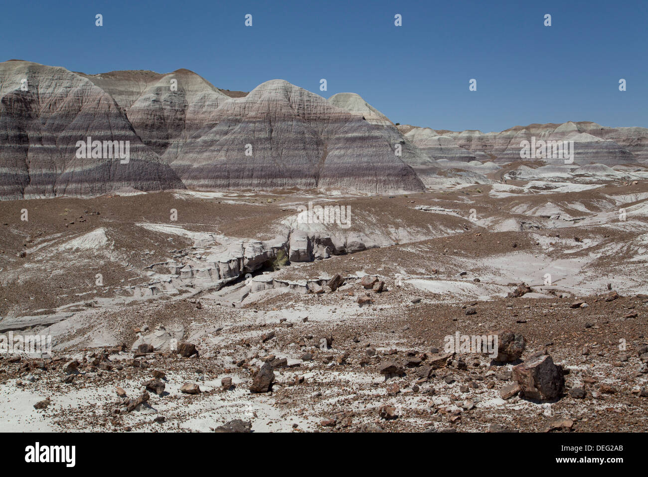 Strati di argilla in bentonite con legno pietrificato, Blue Mesa Trail, Blue Mesa, Parco Nazionale della Foresta Pietrificata, Arizona, Stati Uniti d'America Foto Stock