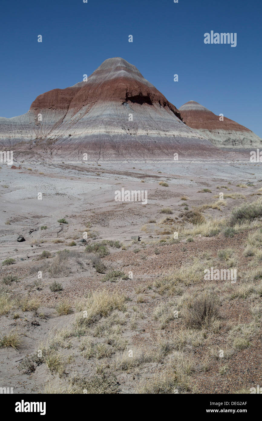 Strati sedimentari di colore bluastro argilla in bentonite, la Tepees, Parco Nazionale della Foresta Pietrificata, Arizona, Stati Uniti d'America Foto Stock