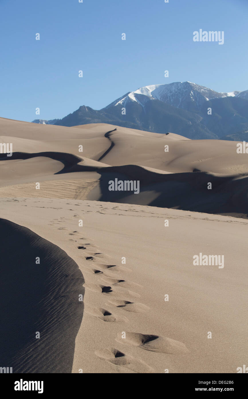 Le dune di sabbia del Great Sand Dunes National Park e preservare con Sangre Cristo montagne sullo sfondo, Colorado, STATI UNITI D'AMERICA Foto Stock
