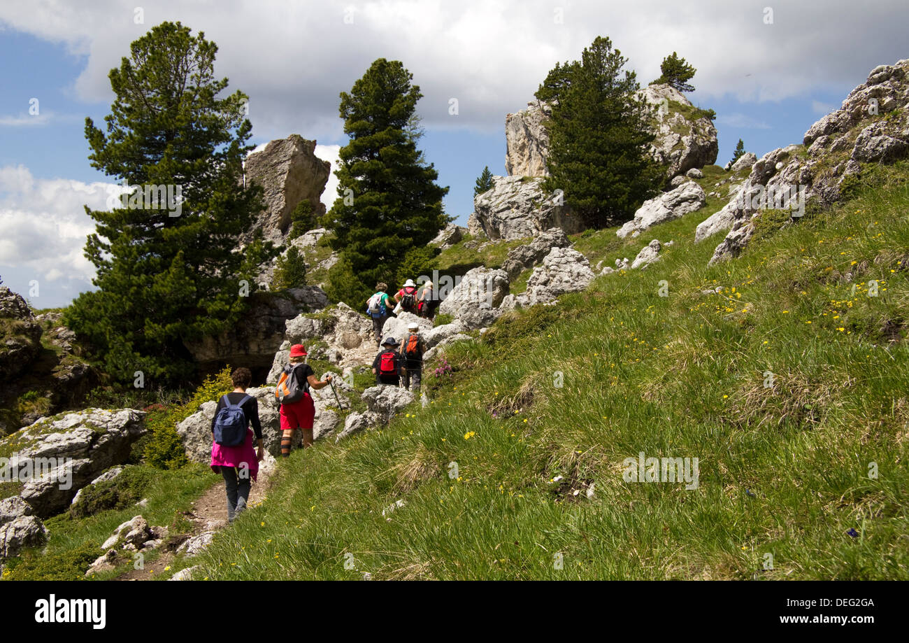 Escursioni nelle Dolomiti del Trentino Foto Stock