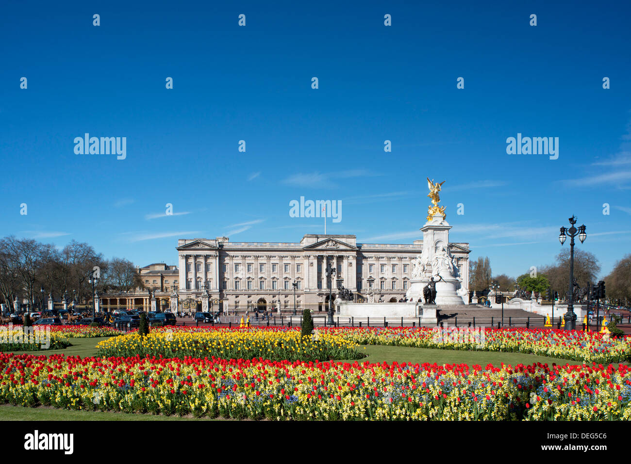 Rosso e tulipani gialli crescente di fronte a Buckingham Palace in aprile. London, England, Regno Unito, Europa Foto Stock