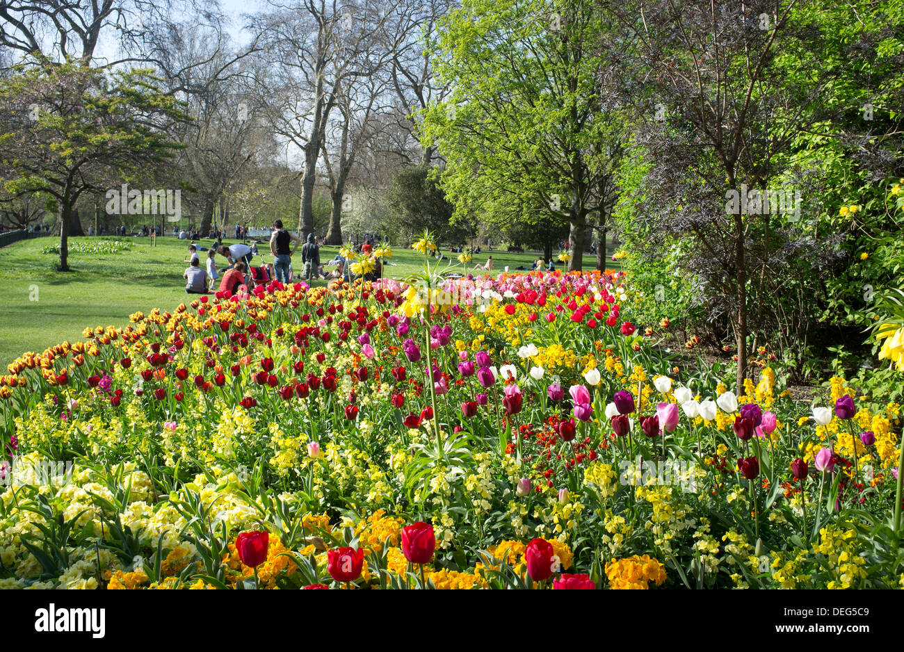 Per coloro che godono di una giornata di primavera in St James Park è circondato da Colorati luminosamente tulipani, London, England, Regno Unito, Europa Foto Stock