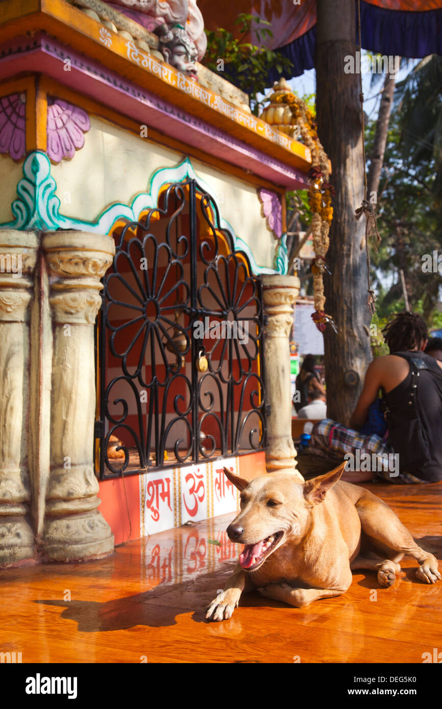Dog sitter al di fuori di un tempio, Goa, India Foto Stock