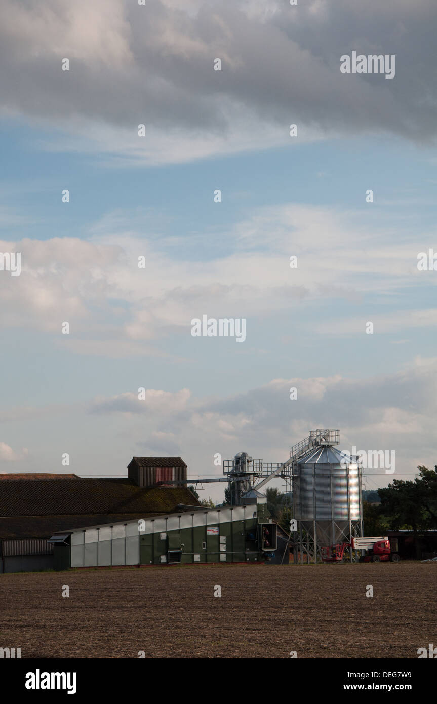 Azienda agricola Foto Stock