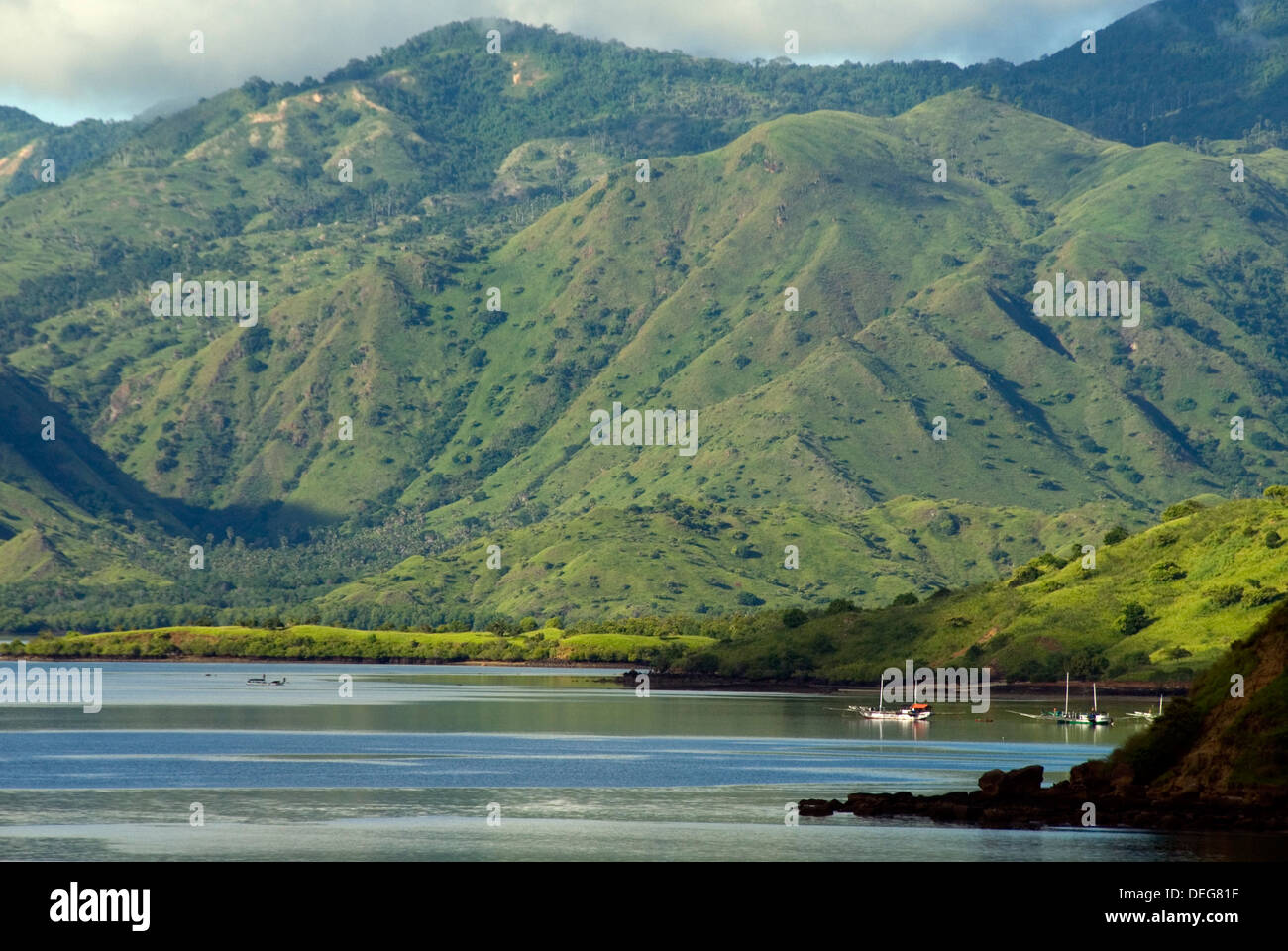 Isola di Pulau Komodo, Nusa Tenggara, Indonesia, Asia sud-orientale, Asia Foto Stock