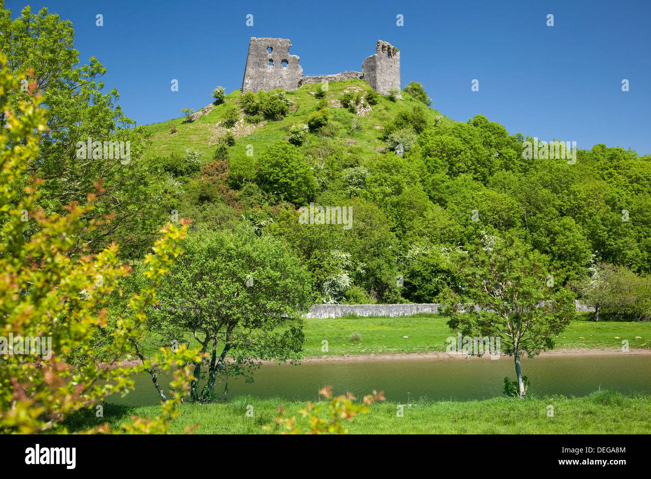 Il castello di Dryslwyn, Carmarthenshire, Wales, Regno Unito, Europa Foto Stock