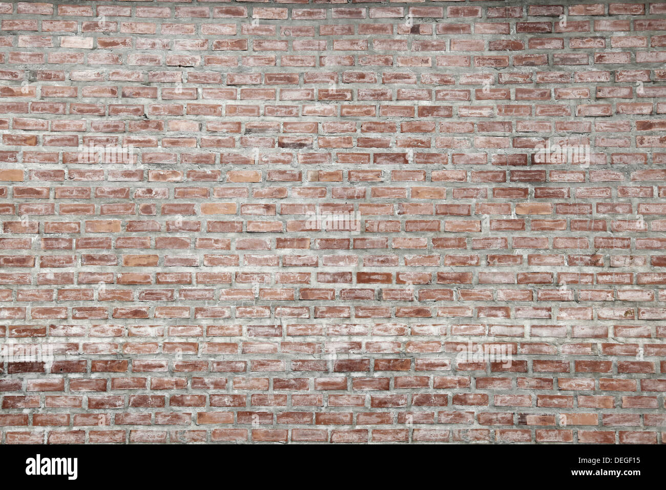 Muro di mattoni Foto Stock