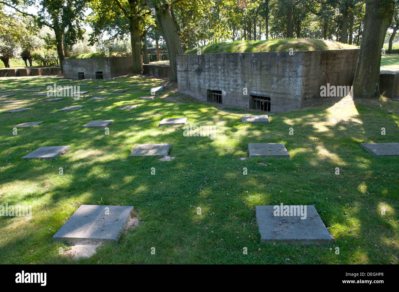 Langemarck cimitero militare tedesco dalla prima guerra mondiale, Ypres salienti, Belgio Foto Stock