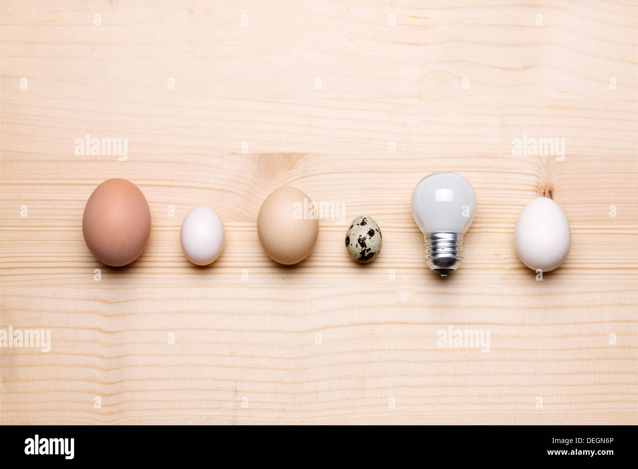 Le uova e la lampadina. Foto Stock