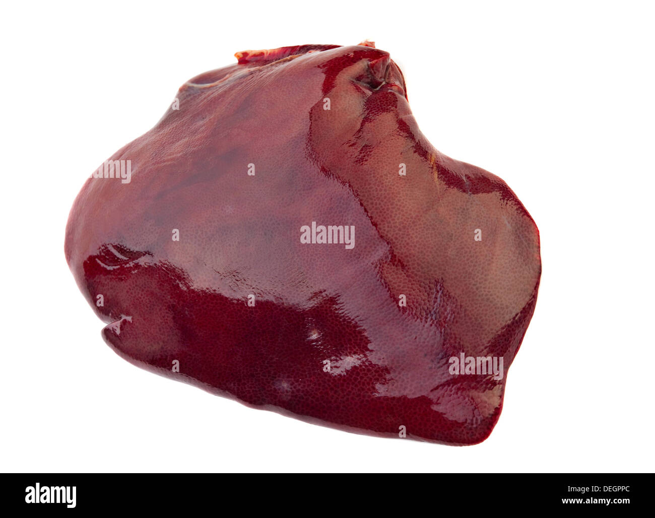 Materie fegato di maiale isolato su bianco Foto Stock