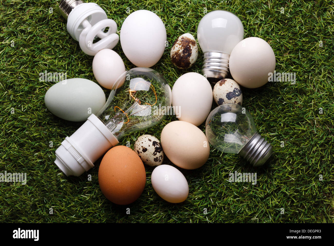 Uova e lampadine Foto Stock