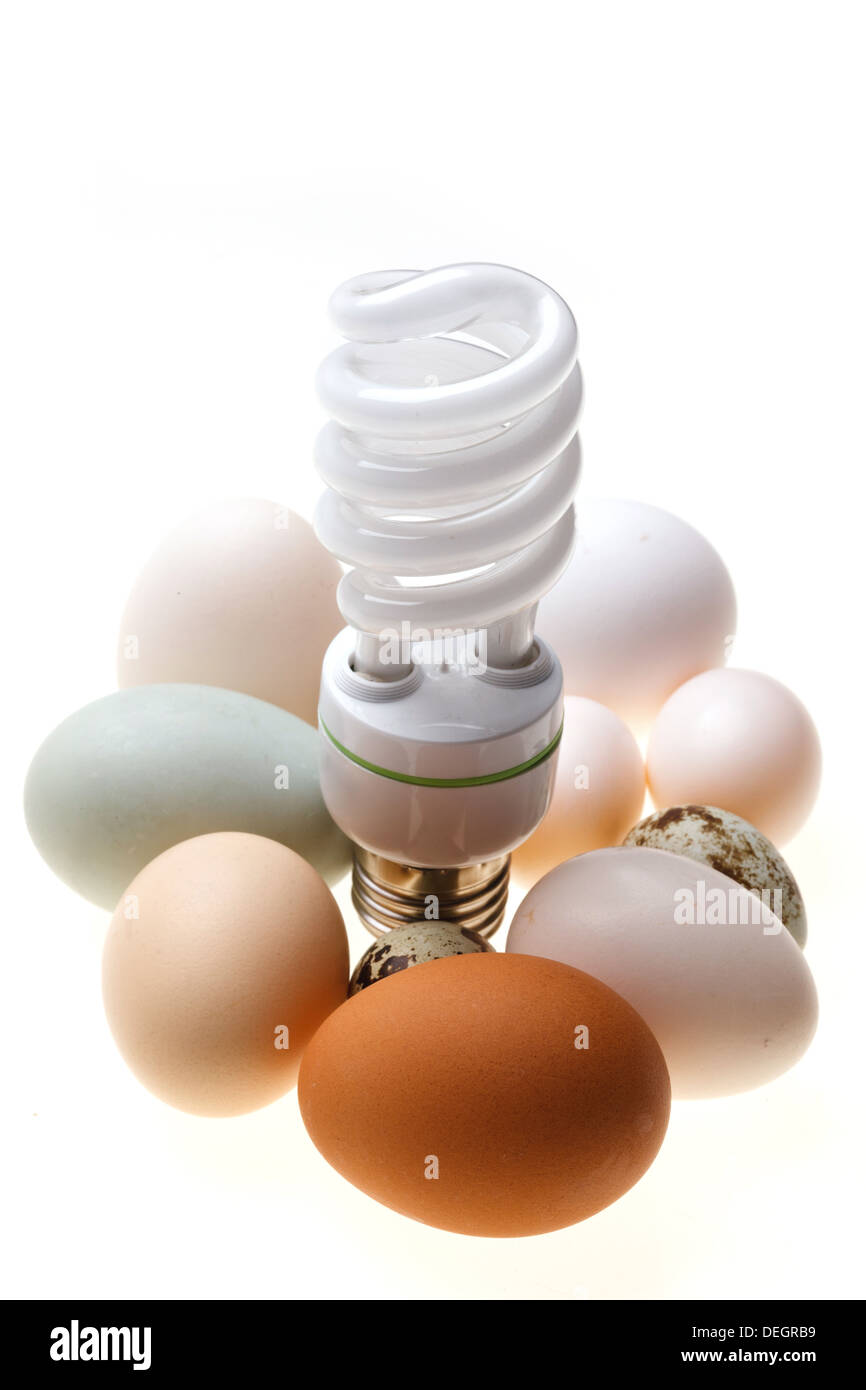 Uova e lampadine Foto Stock