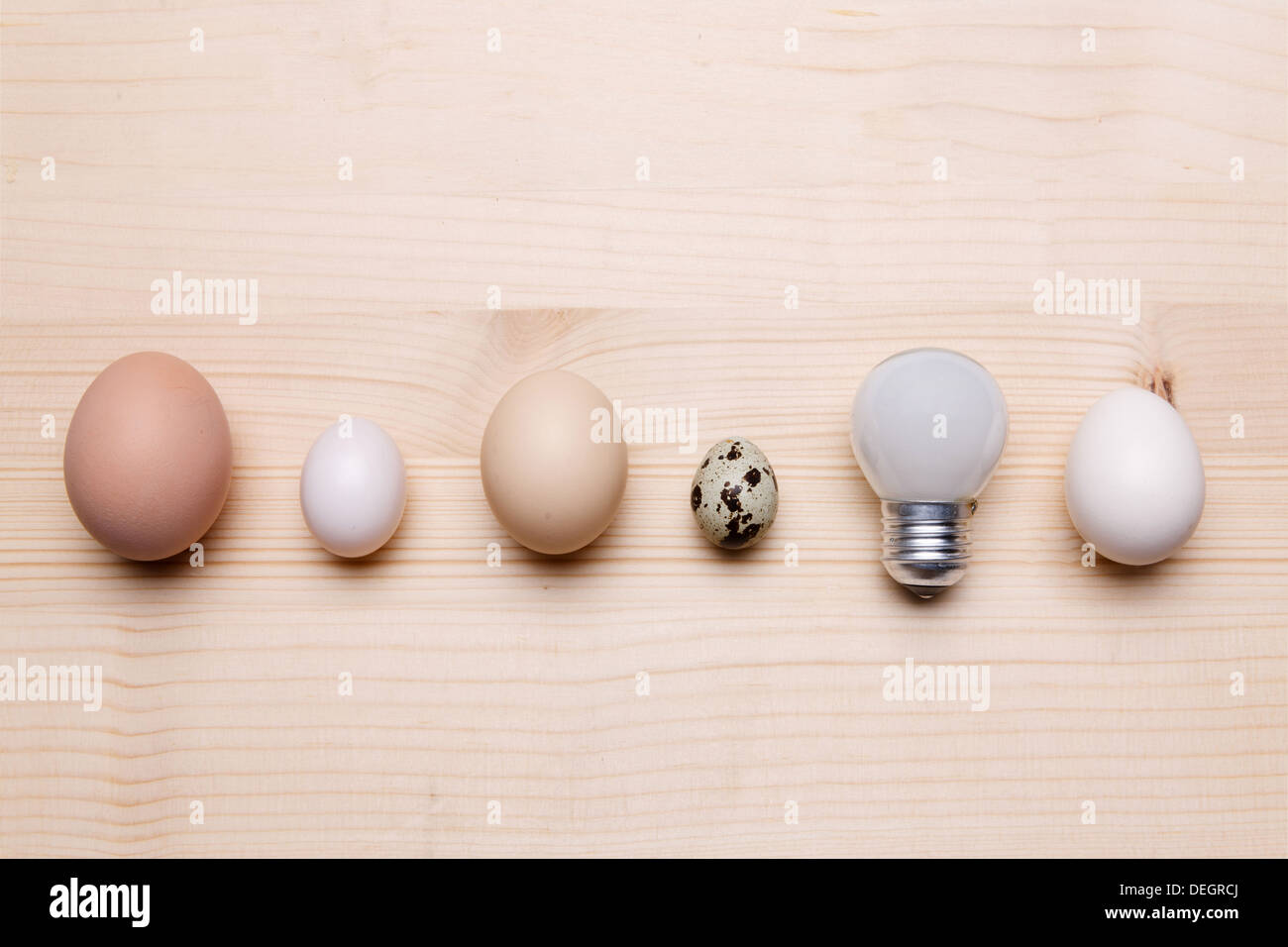 Le uova e la lampadina. Foto Stock