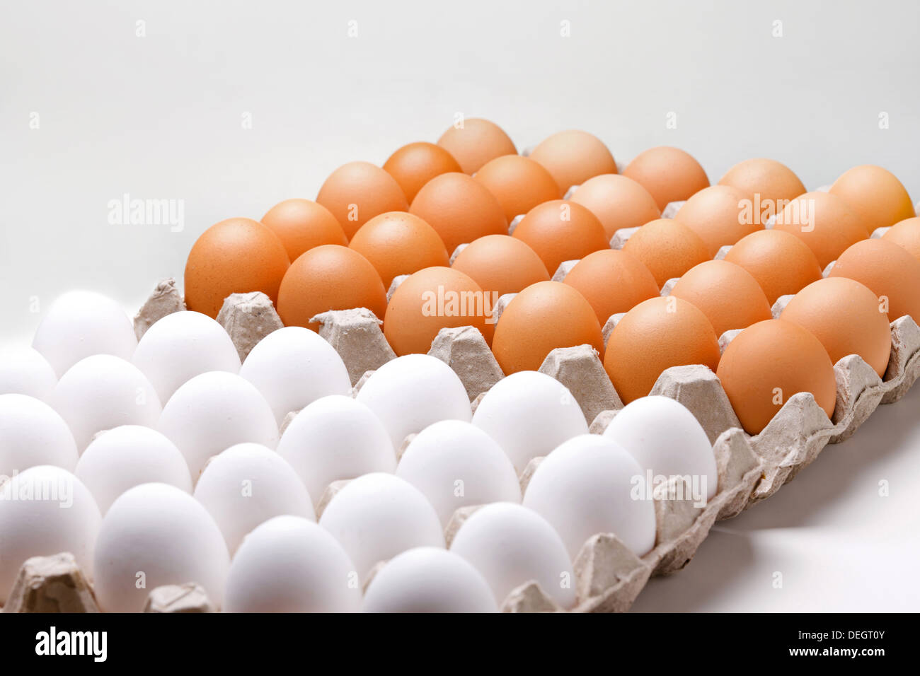 Due tipi di uova Foto Stock