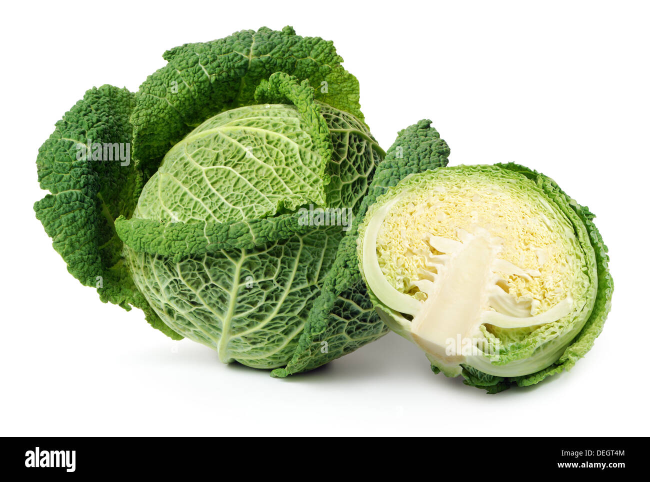Due savoy cavoli cappucci isolate su sfondo bianco Foto Stock