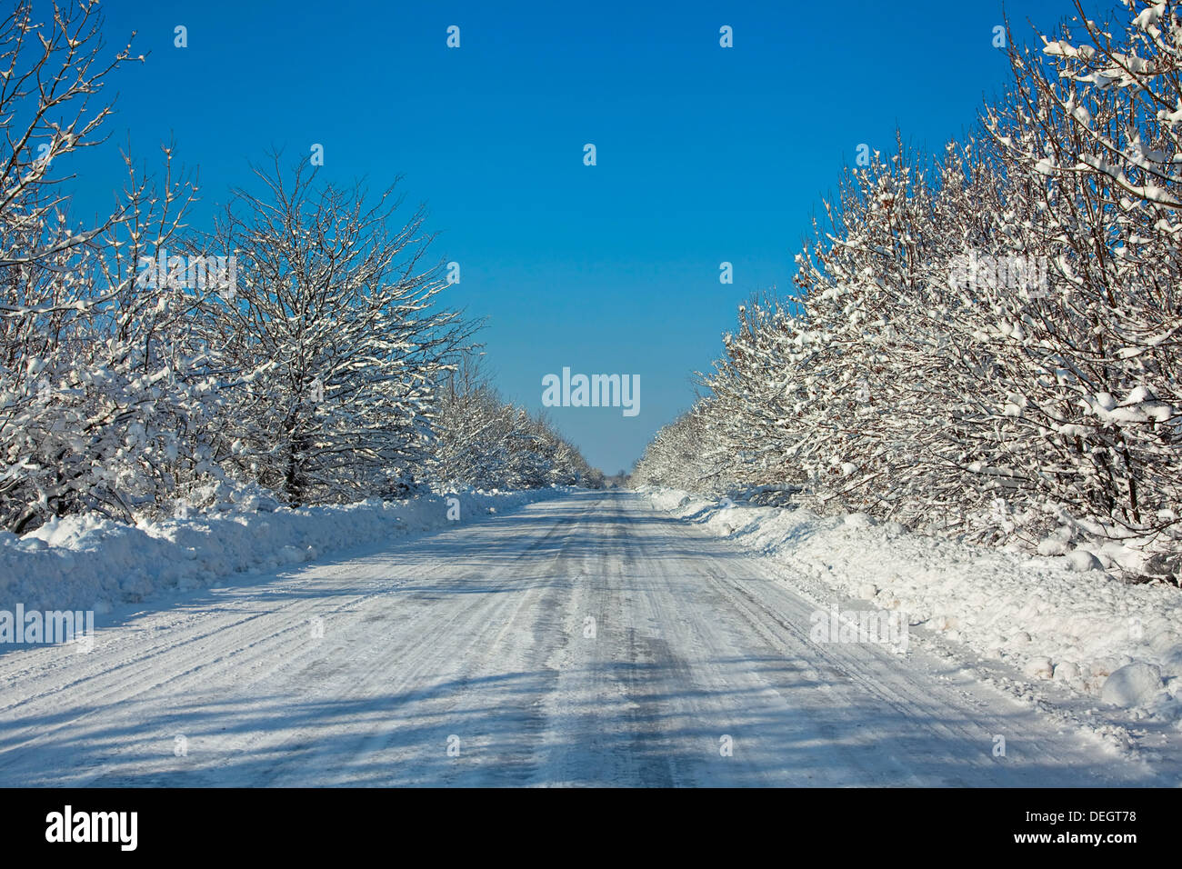 Snow-strada coperta con struttura ad albero Foto Stock
