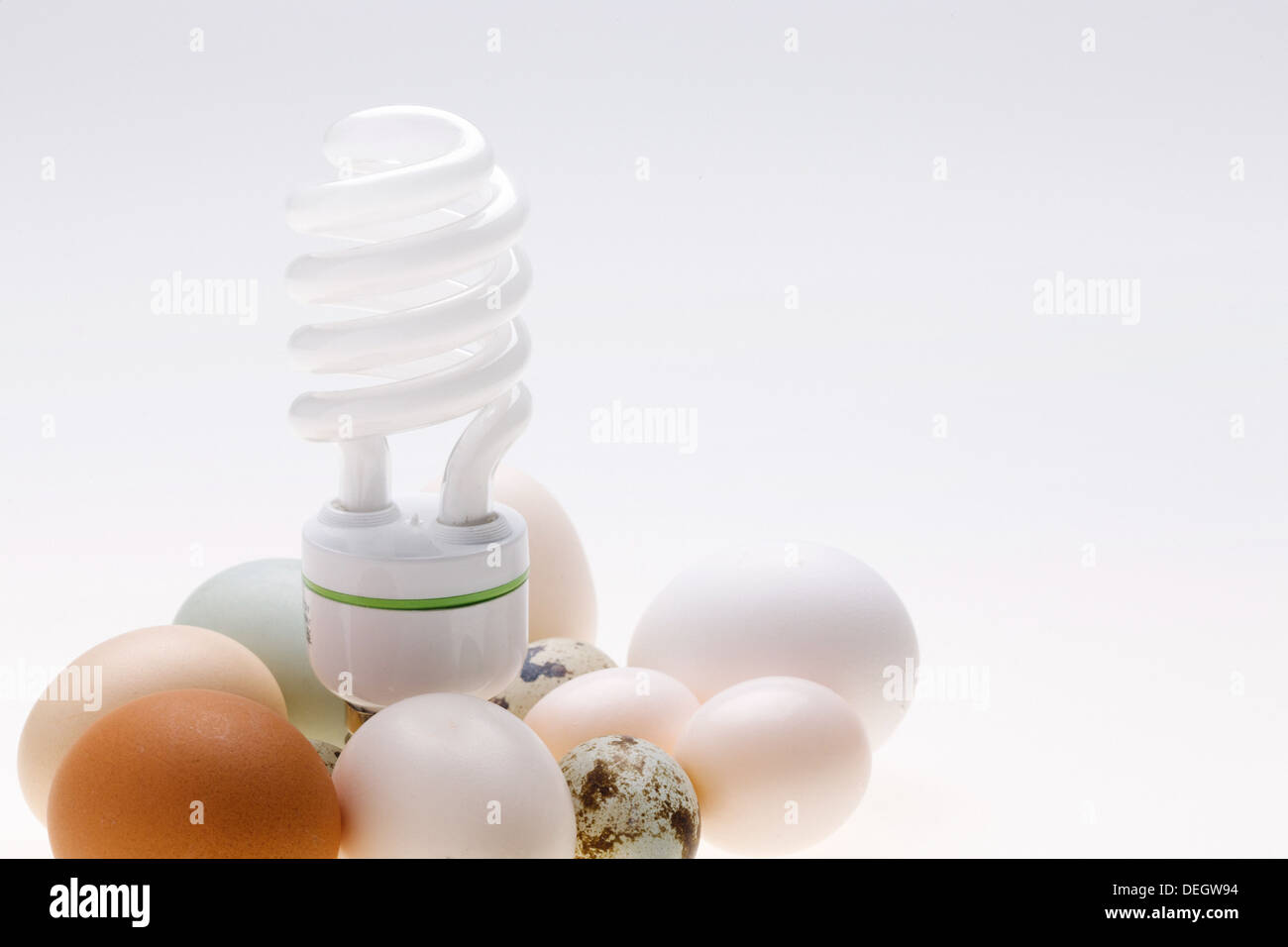 Uova e lampadina Foto Stock
