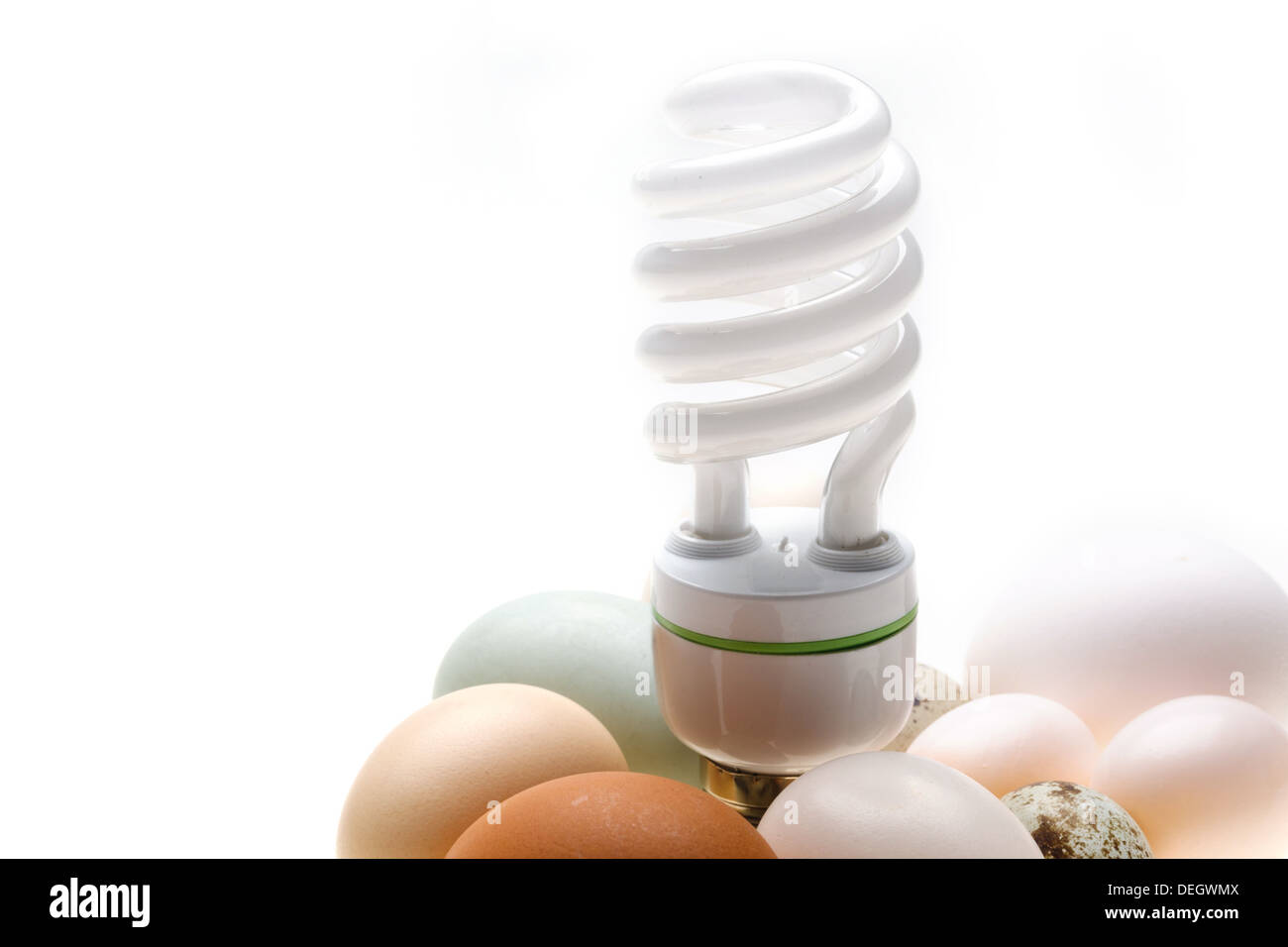 Uova e a risparmio energetico lampada Foto Stock