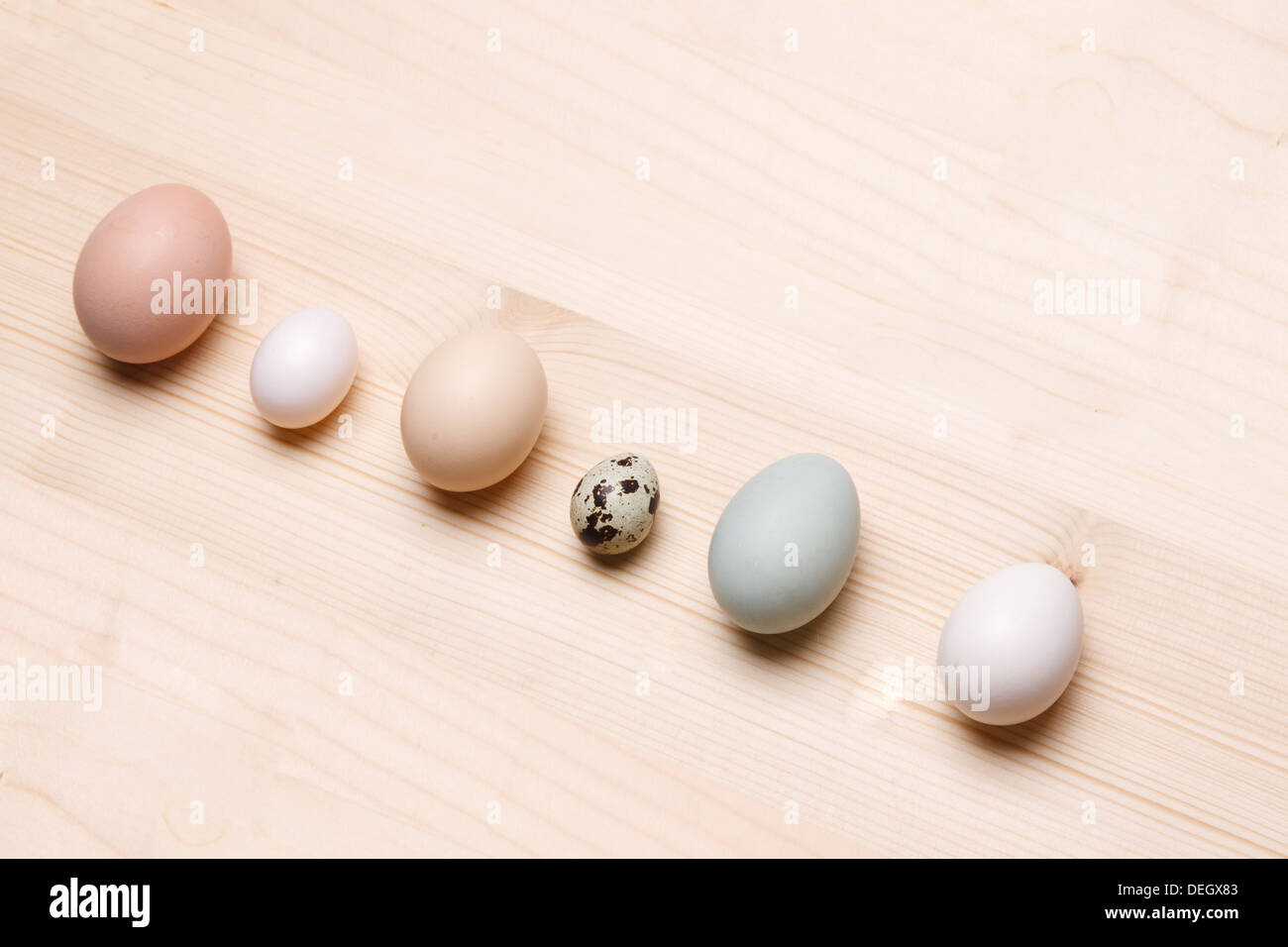 Una fila di uova Foto Stock