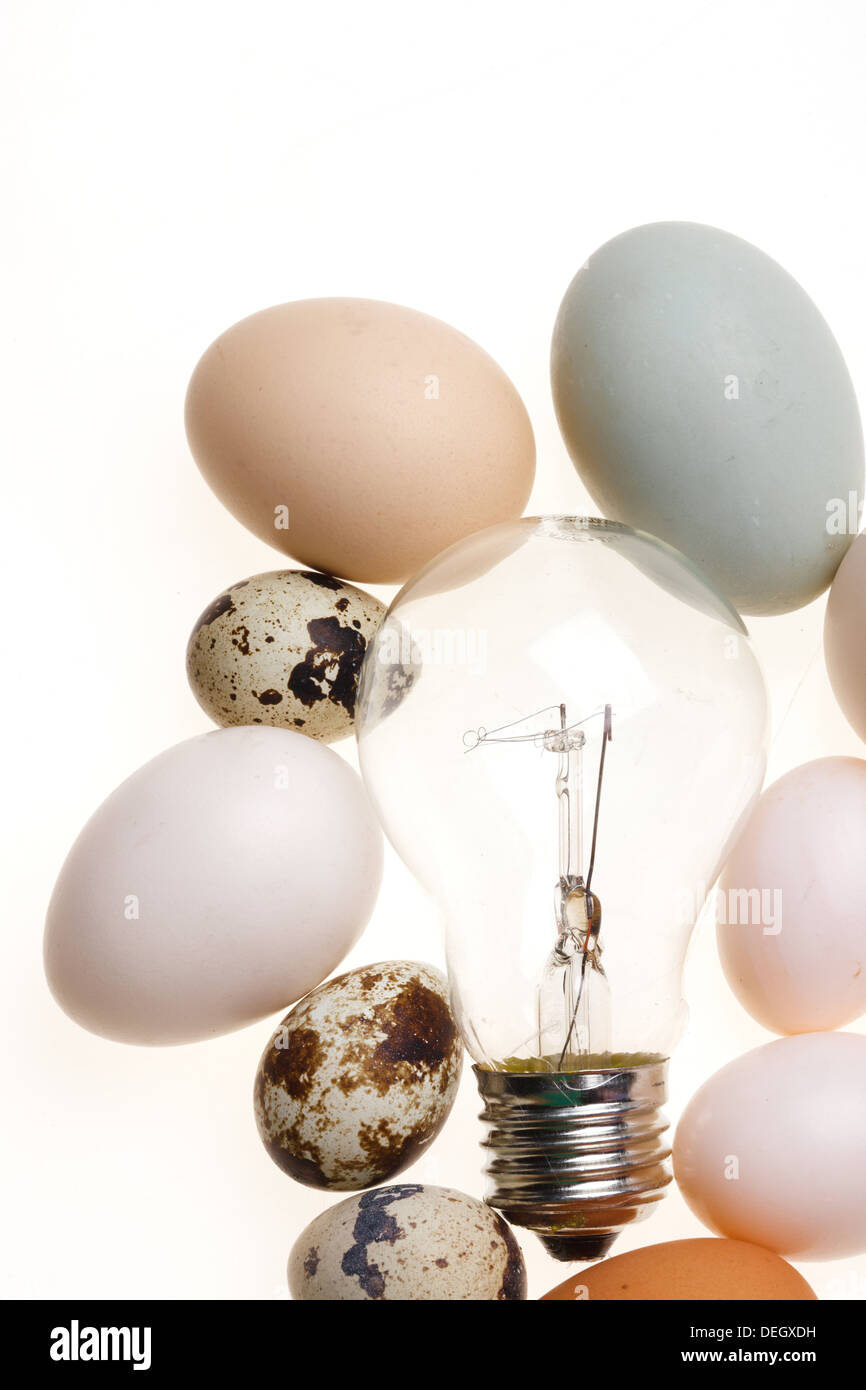 Uova e lampadina Foto Stock