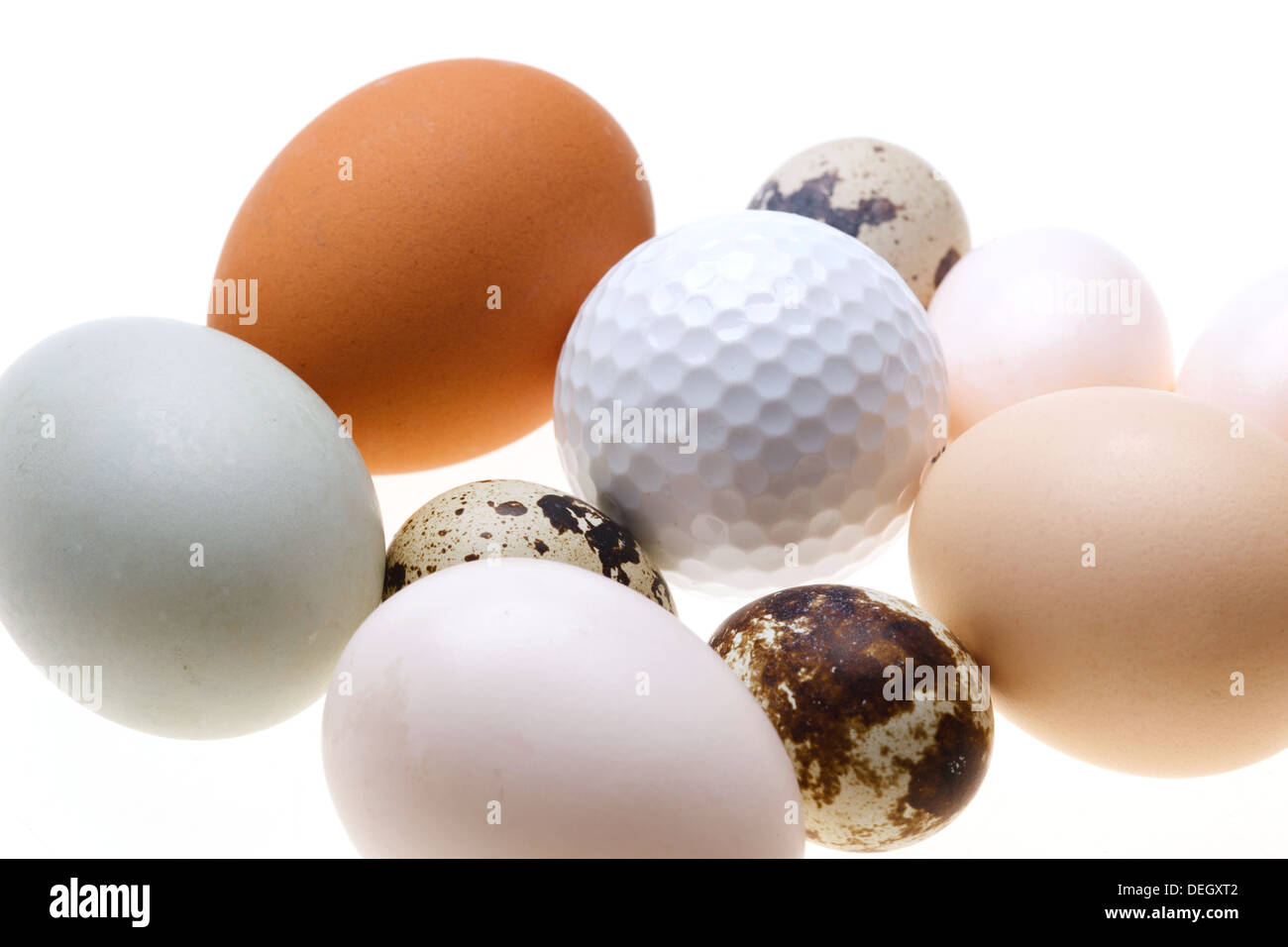 Uova e pallina da golf Foto Stock