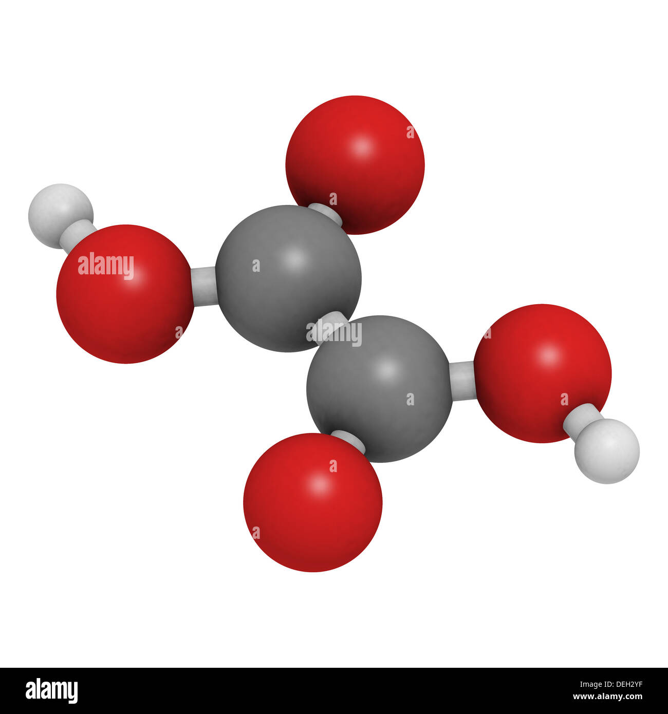Acido ossalico molecola. Il suo sale, ossalato di calcio, è il