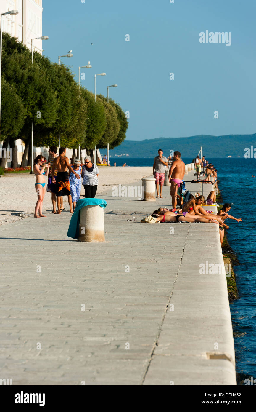 I bagnanti, città di Zadar, contea di Zara, Dalmazia, Croazia, Europa. Foto Stock