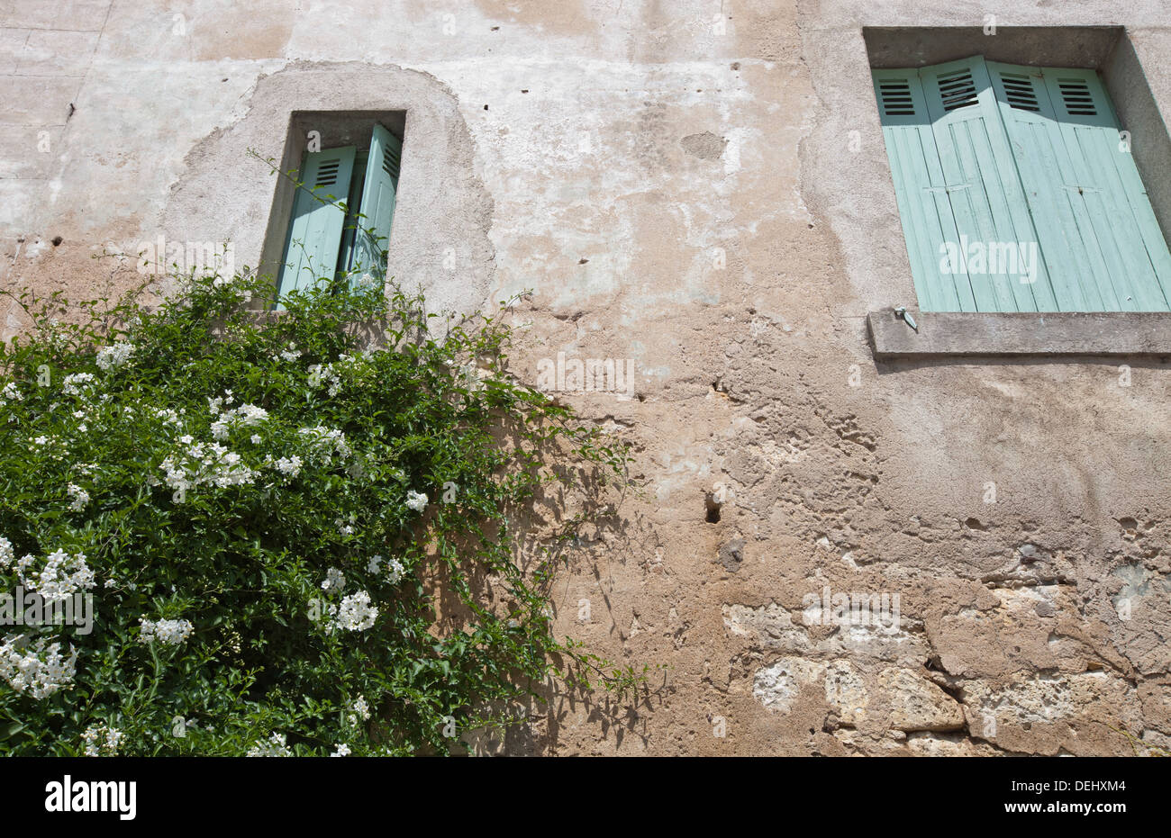 Basso angolo di vista muro di pietra casa con piante e fiori in primo piano in crescita Foto Stock