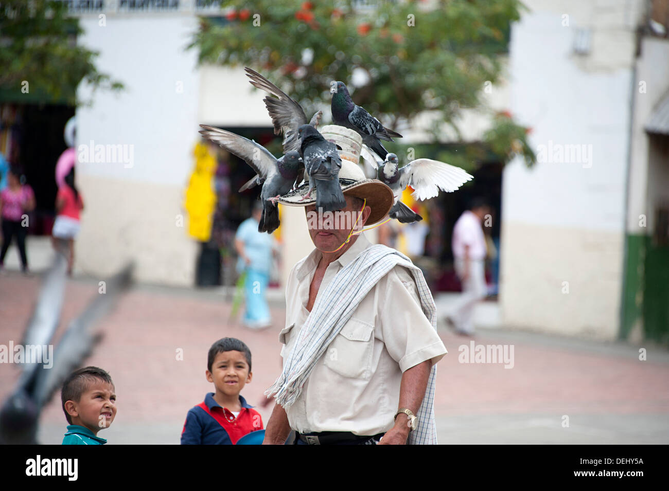 Uomo colombiano indossa un cappello con piccioni alimentazione su di esso. Sud America. Foto Stock