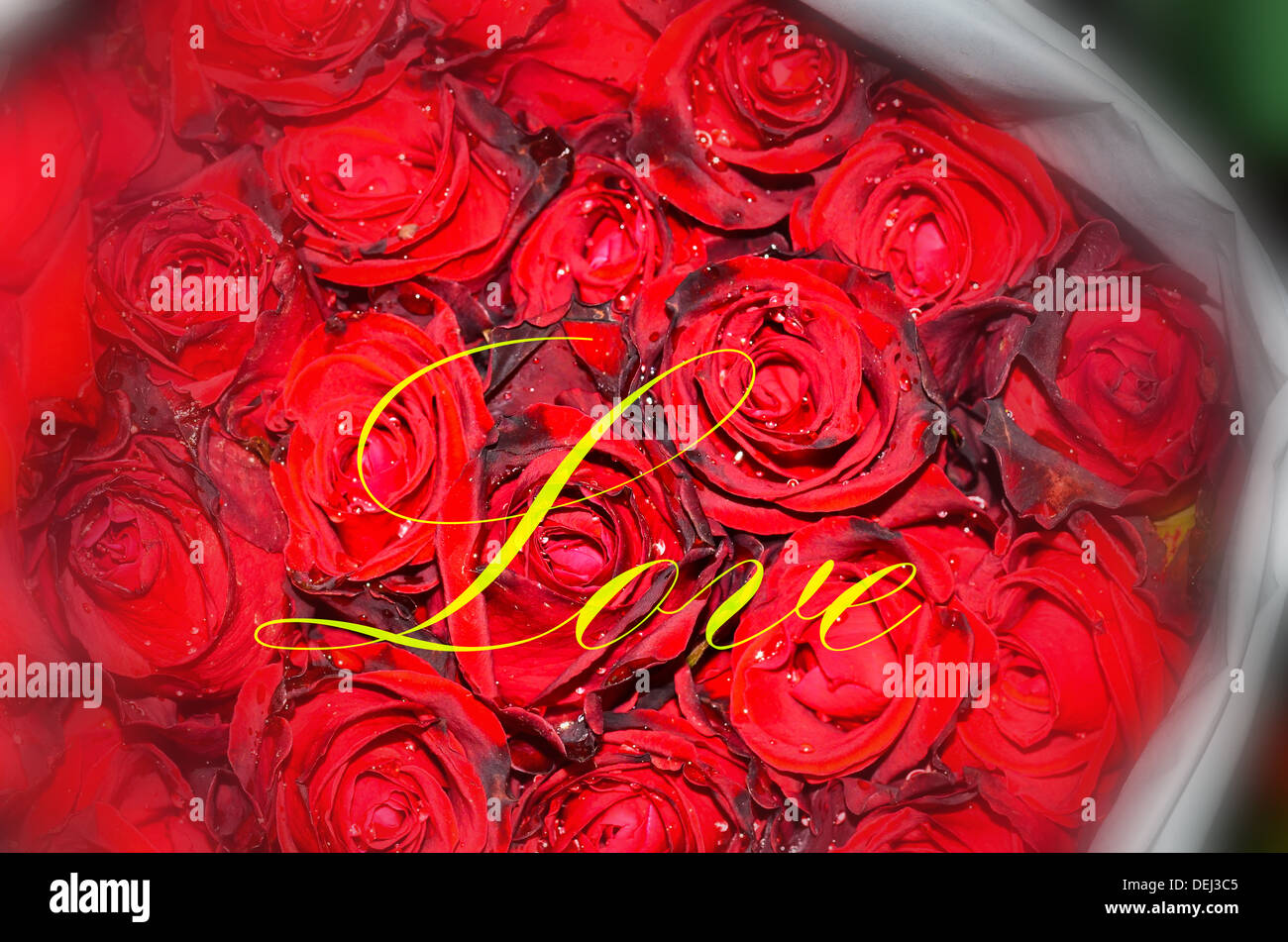 Mazzo di rose rosse amore Foto Stock